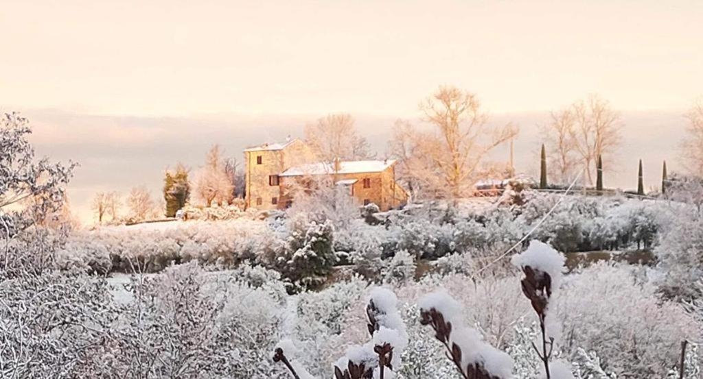 Grove Cottage: Immersed In Nature & Close To Town Città della Pieve Exterior foto